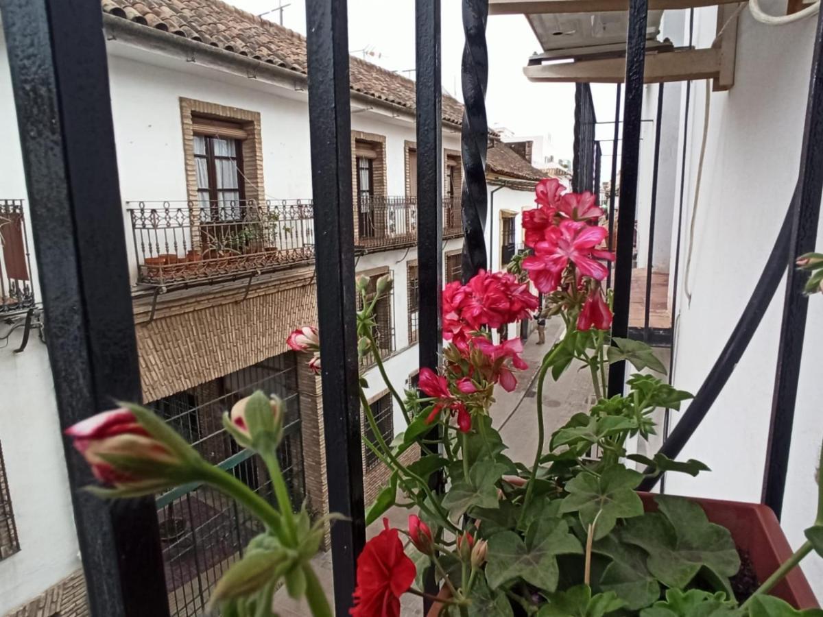 La Antigua Posada 33 Apartamento Córdova Exterior foto